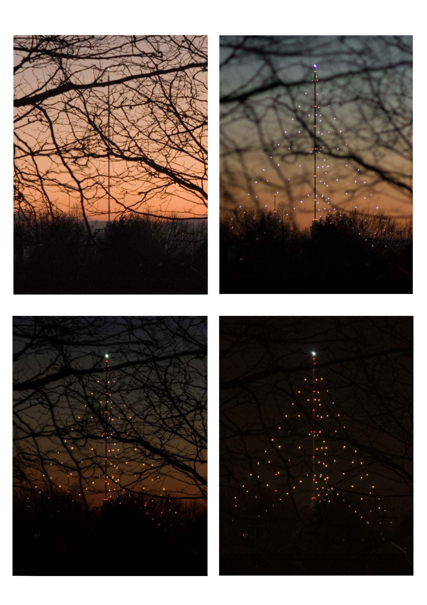 4 kerstbomen